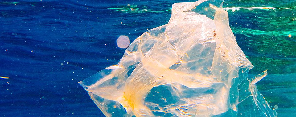 The race to beat plastic pollution