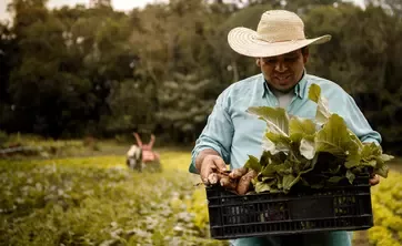 Farmer carrying plant