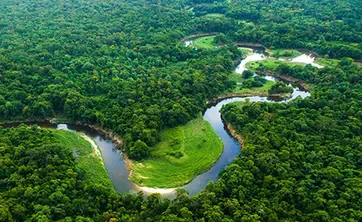 River landscape