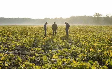 Nestlé is committed to developing products that are good for you and good for the planet.