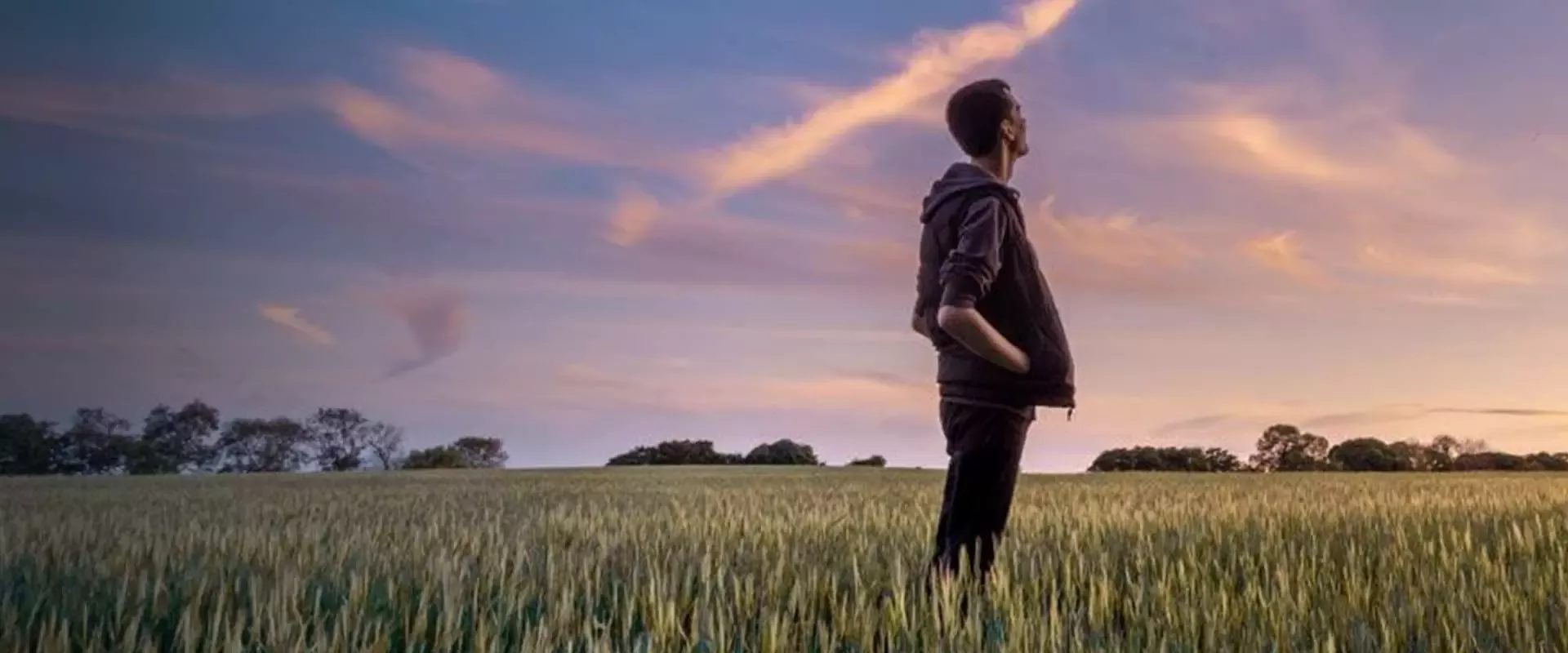 Person in field looking at sunrise
