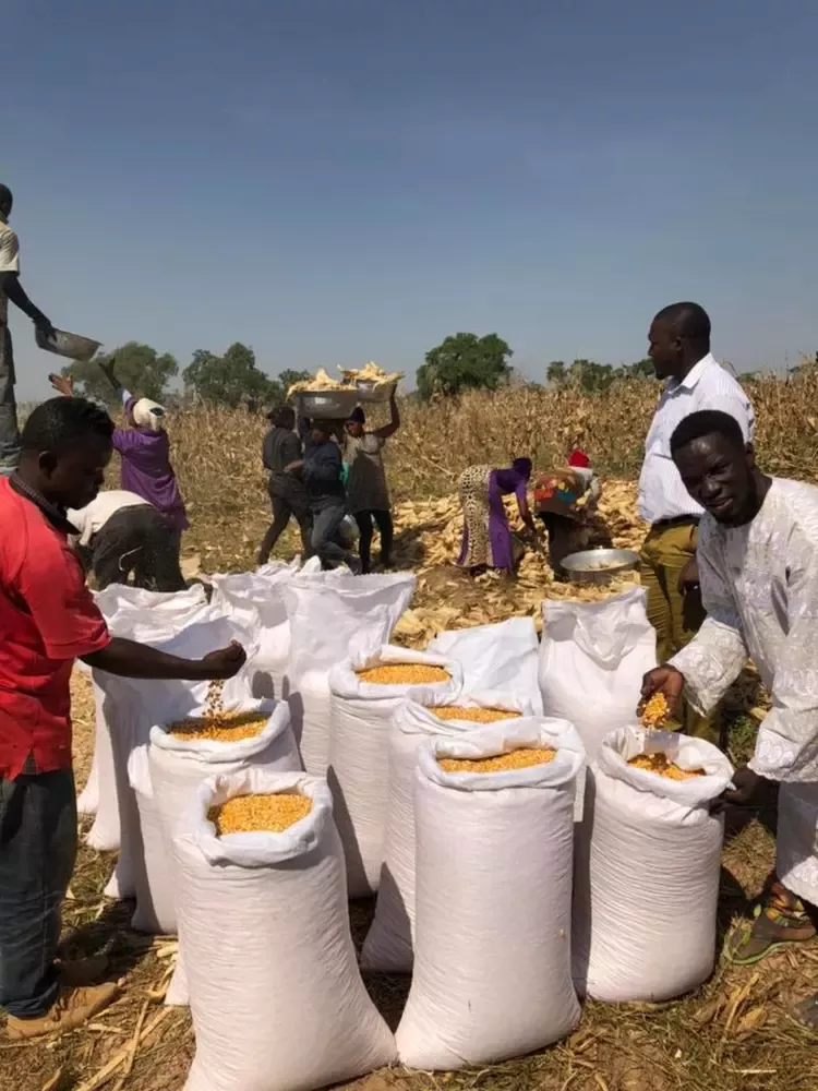 Nestlé partners with IDH’s 