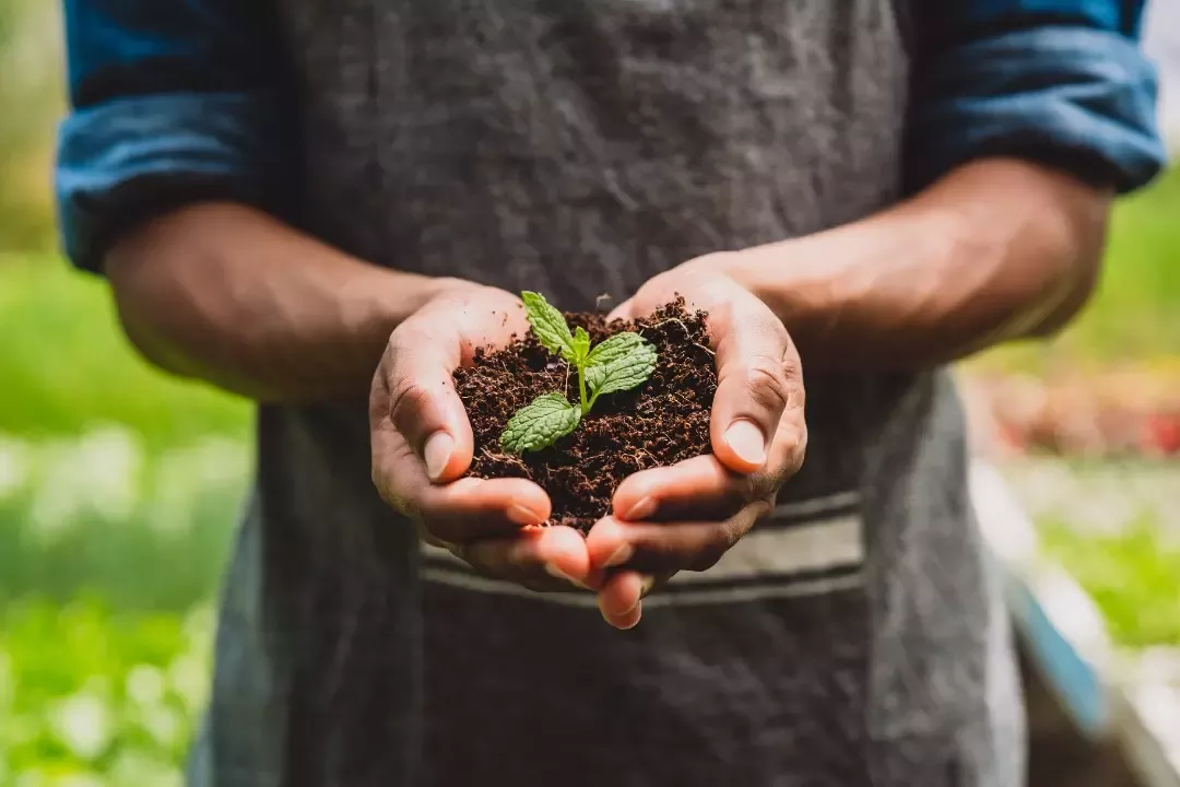 hands with soil