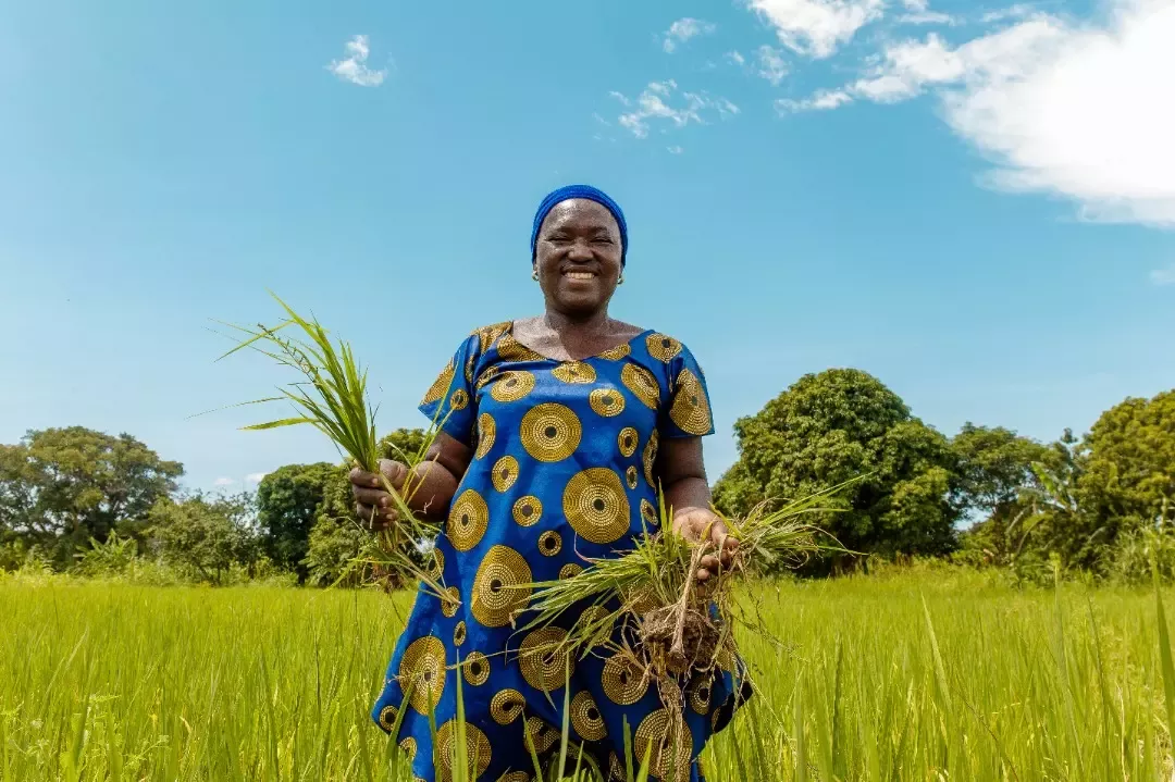 Africa Food Prize