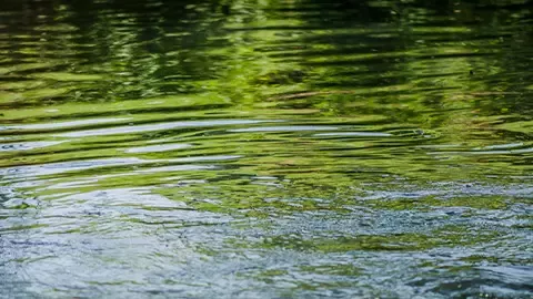 Water in river 