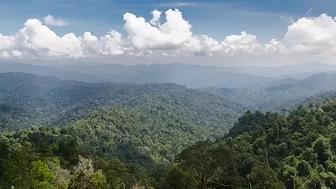 Climate