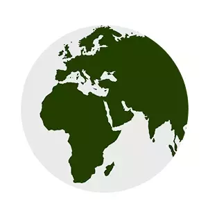 Regional presence globe icon
