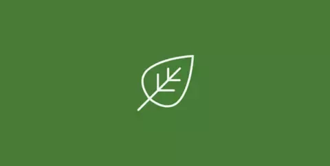 White minimalist leaf icon with a diagonal stem on a solid dark green background.