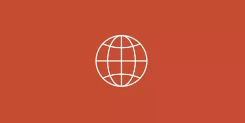 White wireframe globe icon centered on a brown background.