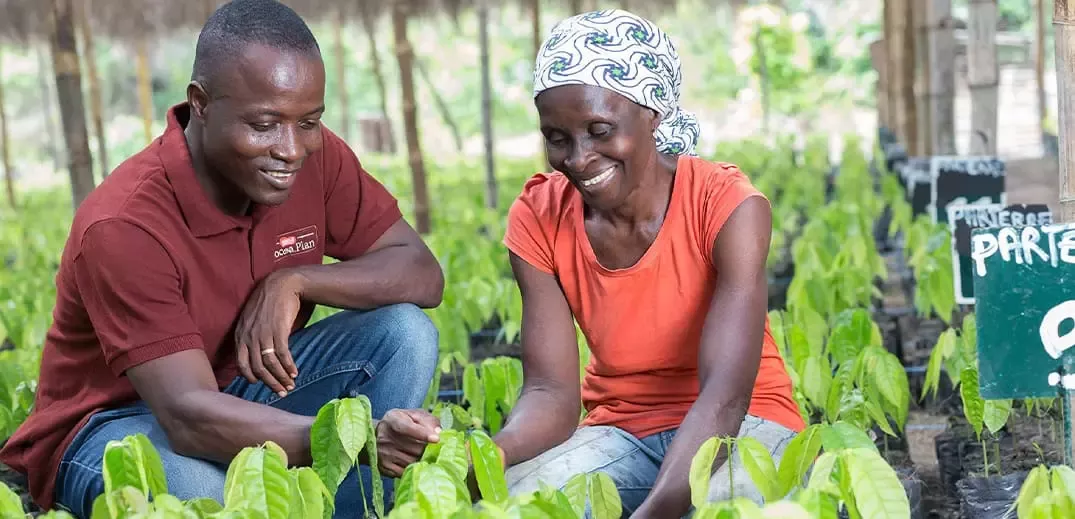 People working with plants