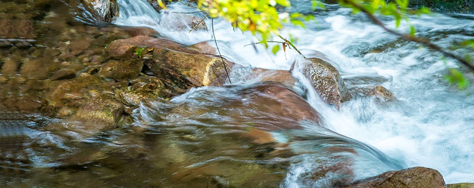 water is life